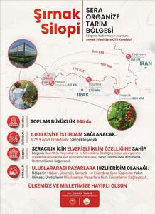 Şırnak Silopi’de Sera Organize Tarım Bölgesi (OTB) Projesi hayata geçiriliyor